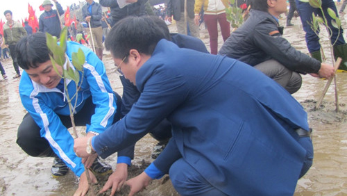 Respuesta activa de jóvenes comunistas a la protección ambiental
